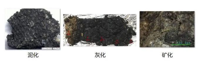 气候变化影响三星堆人衣食住行?揭秘古蜀国的“气候密码” 气候变化影响三星堆人衣食住行?揭秘古蜀国的“气候密码”