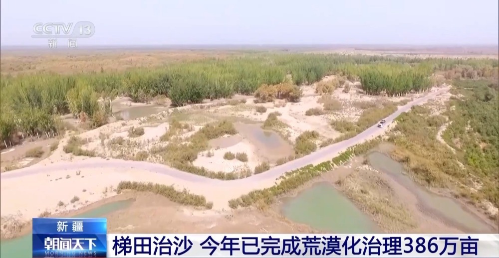 每亩成本从1万降到1800元！新疆荒漠化治理有了新办法