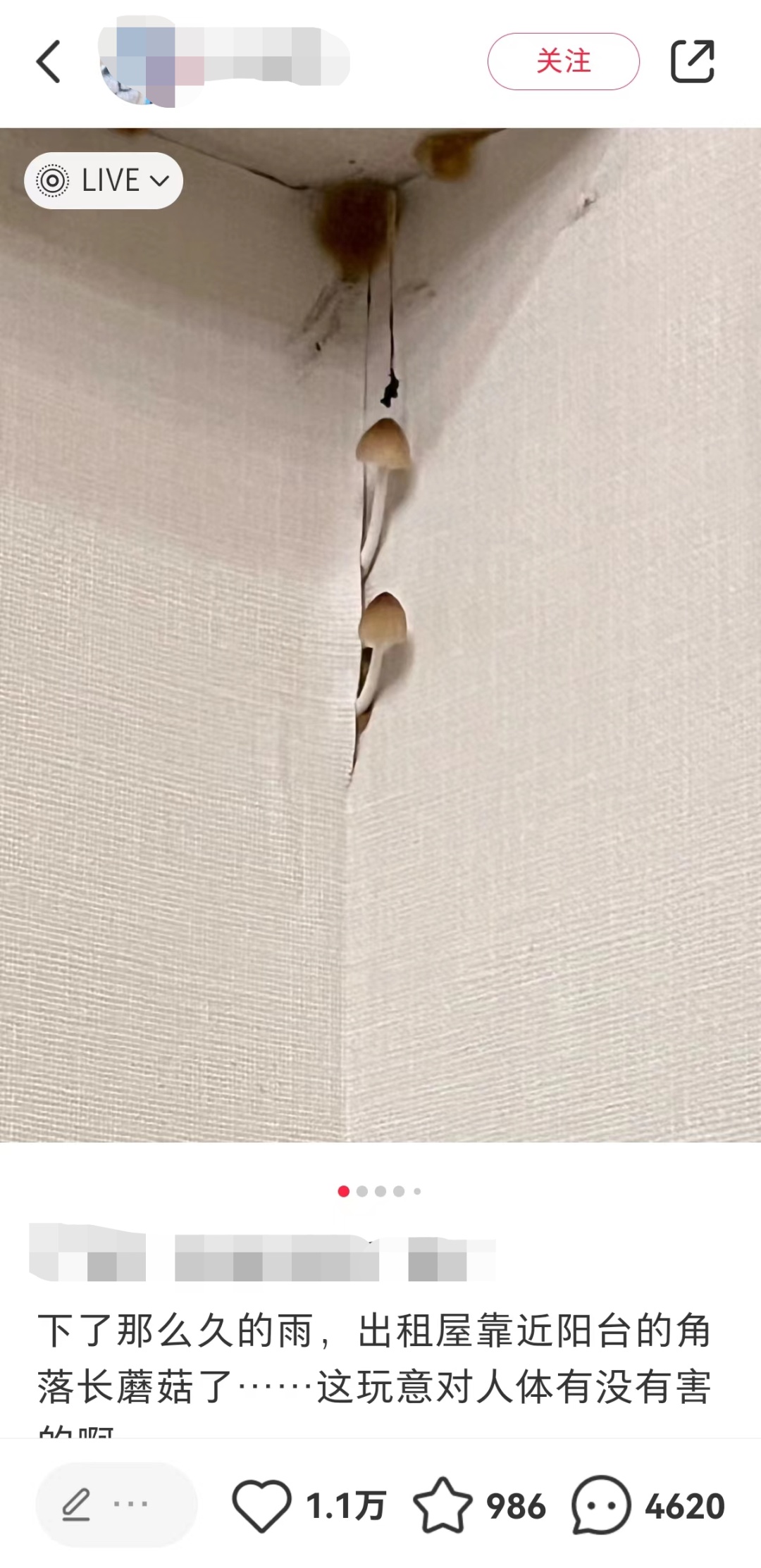 绷不住了!最近不少广东人家里出现这个,更崩溃的是…… 绷不住了!最近不少广东人家里出现这个,更崩溃的是……