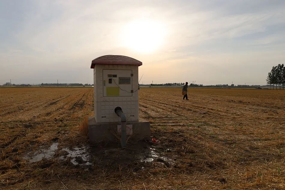 “小苗都旱迷糊了”，直击河南扶沟县抗旱