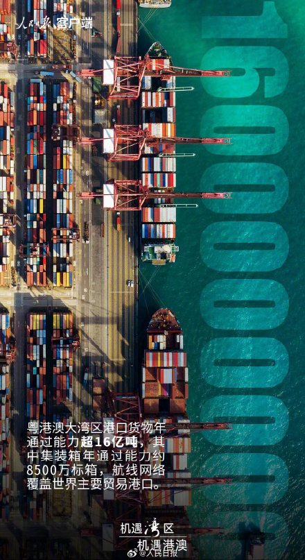 数说大湾区5年成绩单