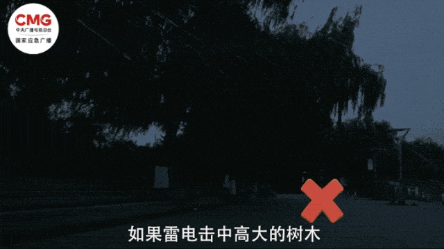 雨伞变成引雷针？有人雨中在广场撑伞被雷击伤！这些防雷知识请收好