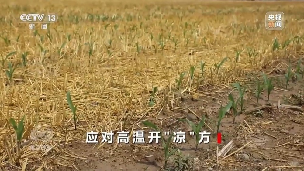 本轮高温还将持续多久?各地有何解暑“凉”方 本轮高温还将持续多久?各地有何解暑“凉”方