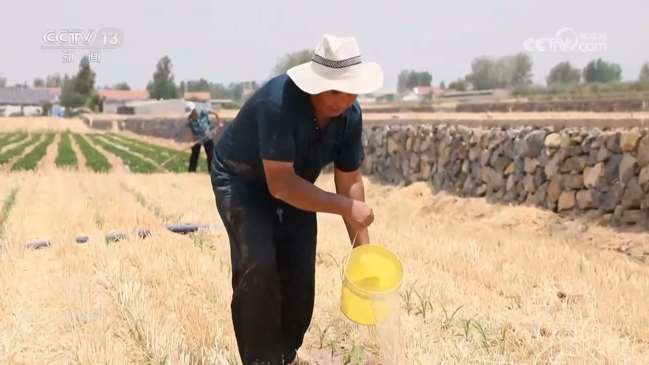 应对高温开“凉”方