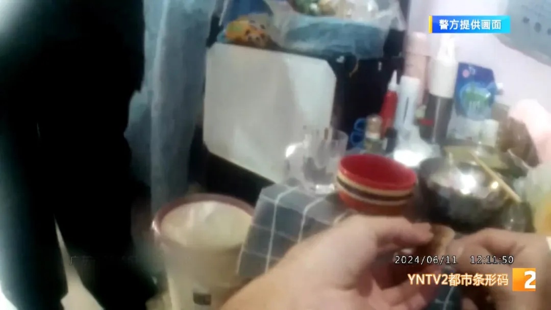 “救命啊！三个机器人小偷来我家搬东西”！女子报警求救，警察该如何应对？