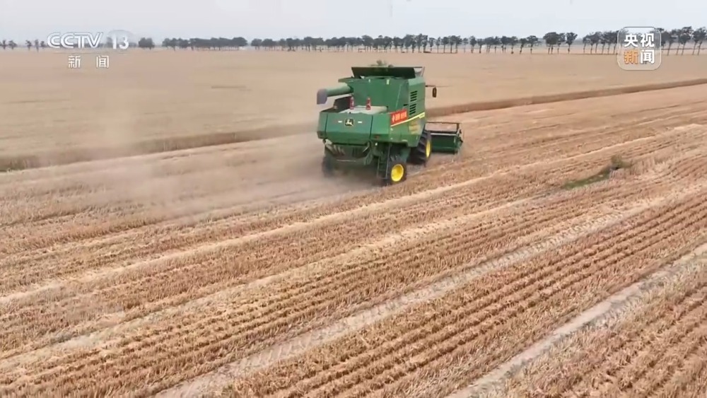 麦收效率大幅提升！来看这些“新麦客”→