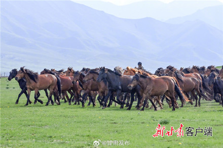 夏日山丹军马场风光旖旎