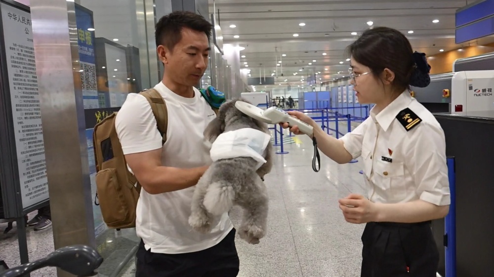 全国首架携宠出境包机在沪完成出入境