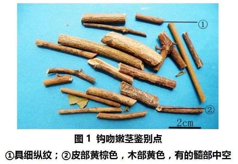 一家五口全中招,2人进ICU抢救!这东西很常见,严重可致命 一家五口全中招,2人进ICU抢救!这东西很常见,严重可致命