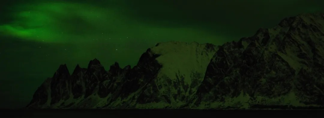 火爆全网的“派大星”博士,找到了! 火爆全网的“派大星”博士,找到了!