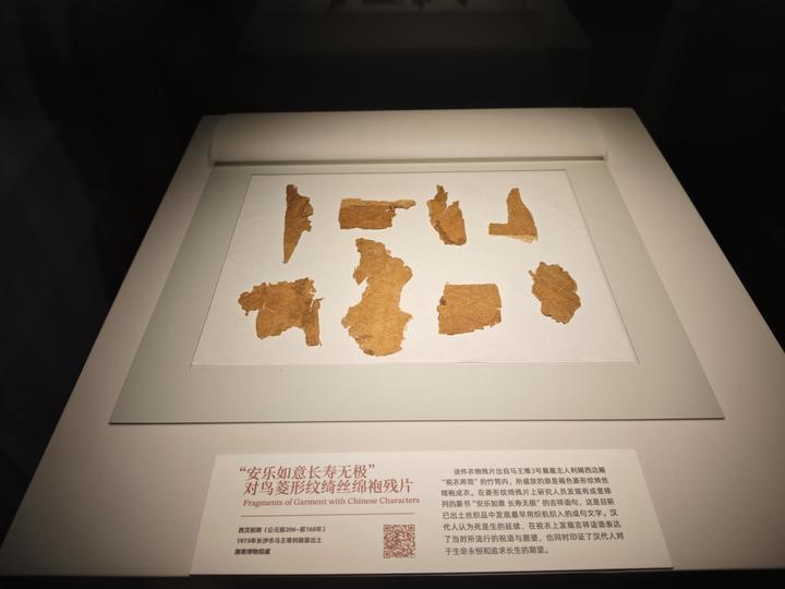 曲裾式素纱单衣、丝质针衣 马王堆多件珍贵文物首次亮相