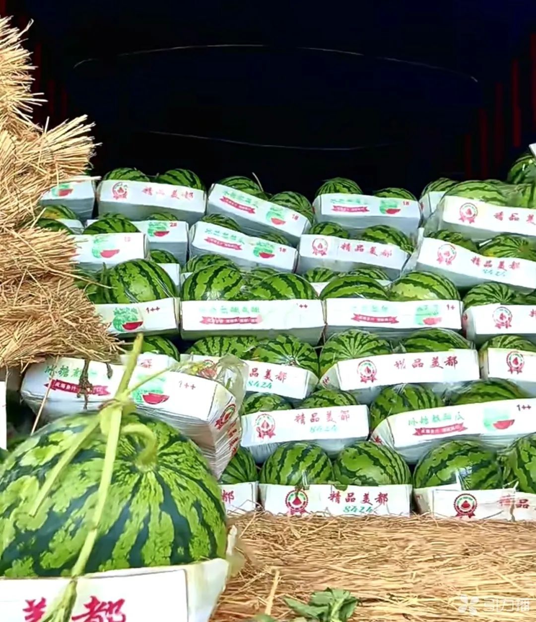 冲上热搜!迎来大降价! 冲上热搜!迎来大降价!