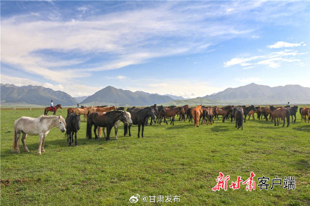 夏日山丹军马场风光旖旎