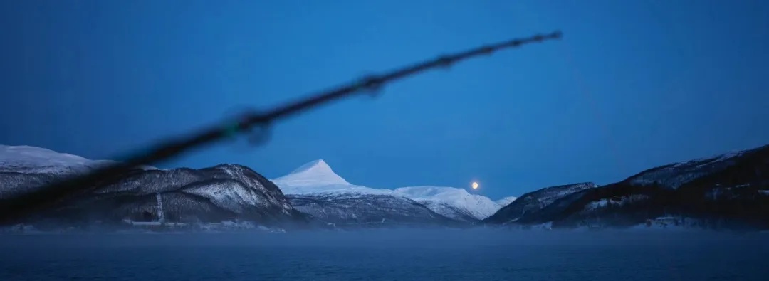 火爆全网的“派大星”博士,找到了! 火爆全网的“派大星”博士,找到了!