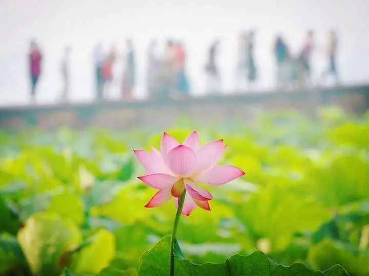 明起有变！大暴雨、特大暴雨，浙江入梅以来最强降水