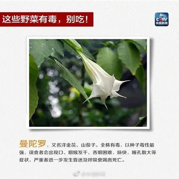 一家五口全中招,2人进ICU抢救!这东西很常见,严重可致命 一家五口全中招,2人进ICU抢救!这东西很常见,严重可致命