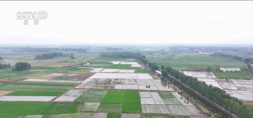 四部门部署抗高温抗干旱保夏播工作 多地积极行动保障农业用水