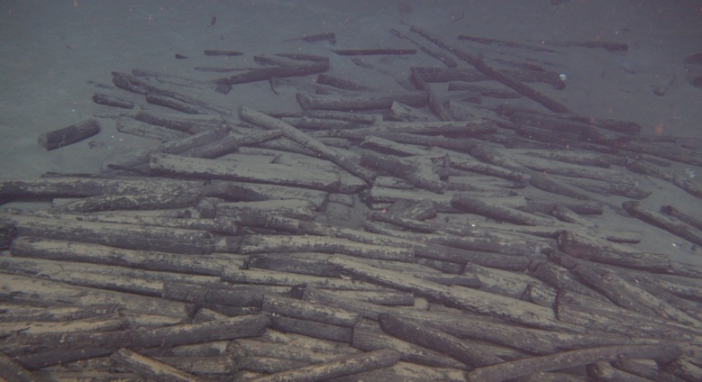 我国深海考古重大发现! 我国深海考古重大发现!