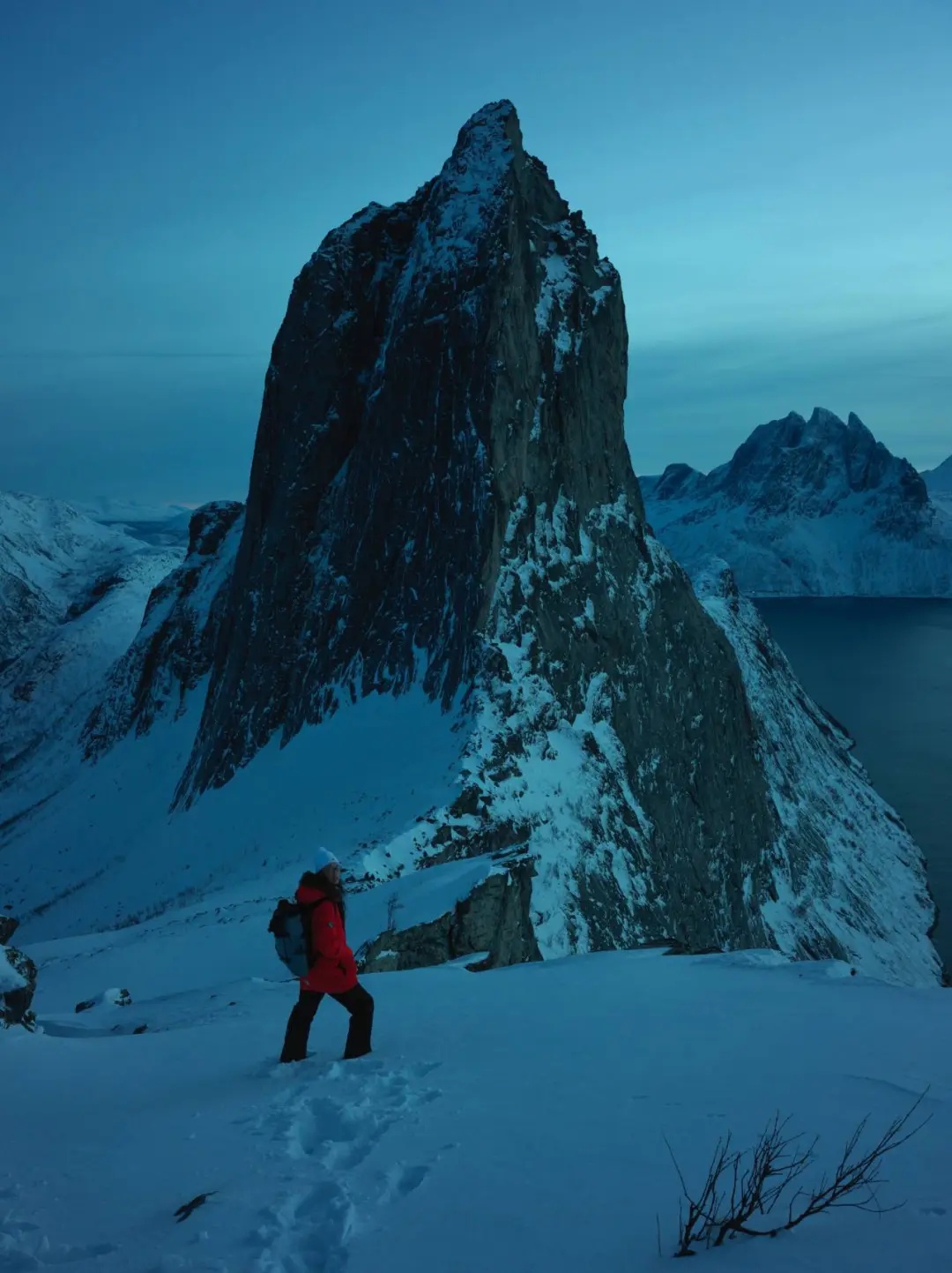 火爆全网的“派大星”博士,找到了! 火爆全网的“派大星”博士,找到了!