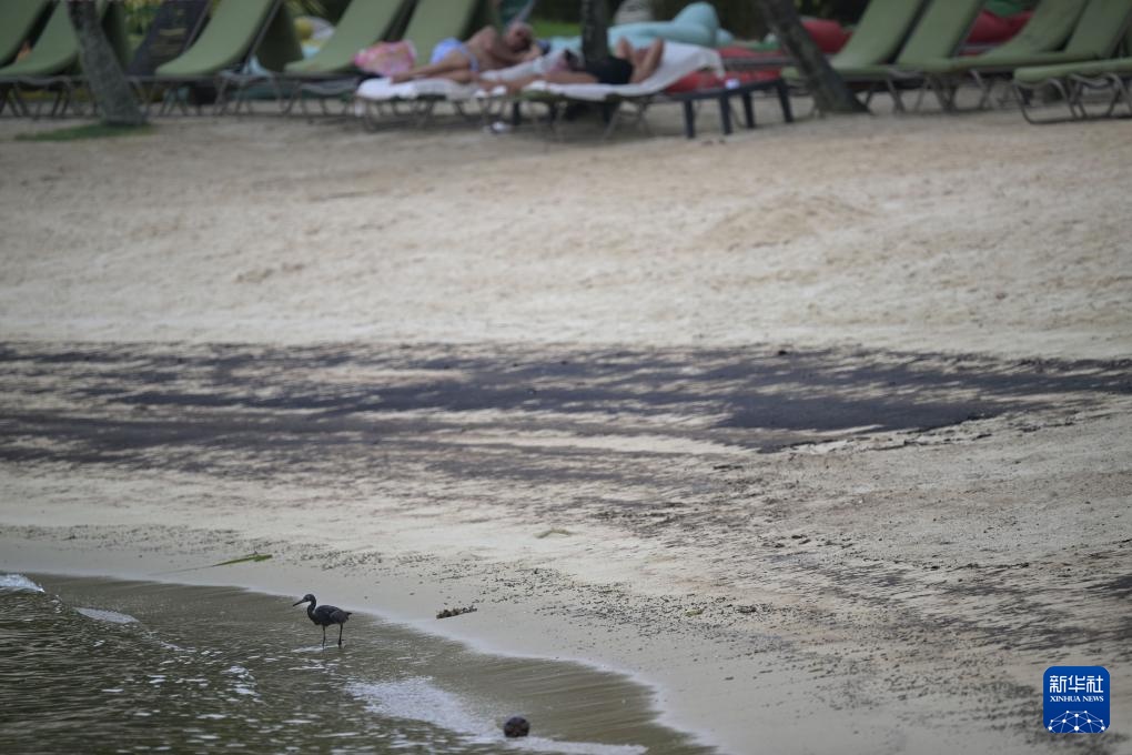 石油泄漏导致新加坡海滩污染