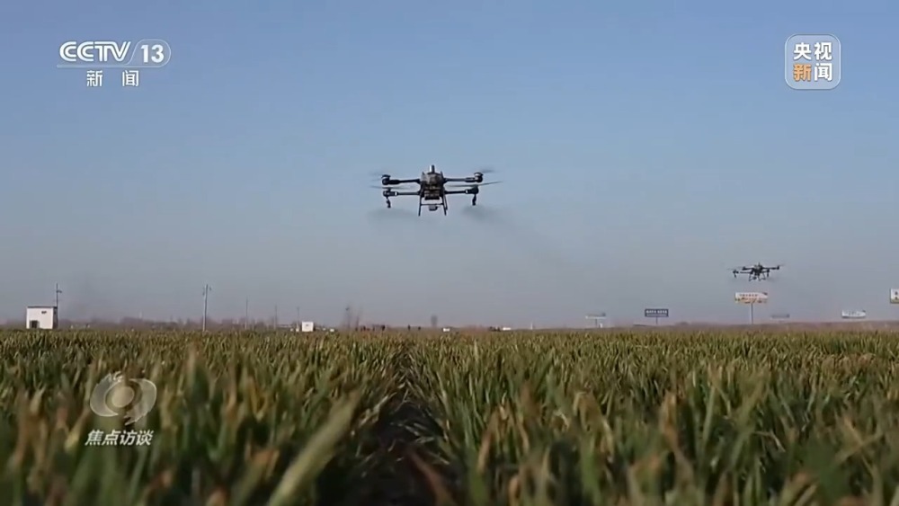 麦收效率大幅提升！来看这些“新麦客”→
