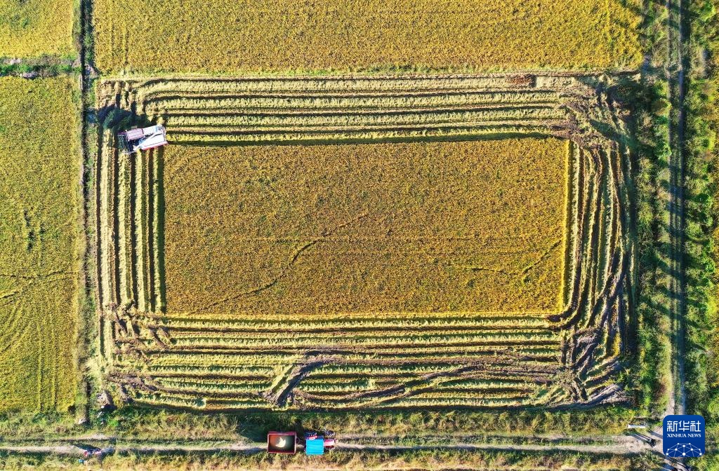 “北斗+5G”：这里的生产“静悄悄”