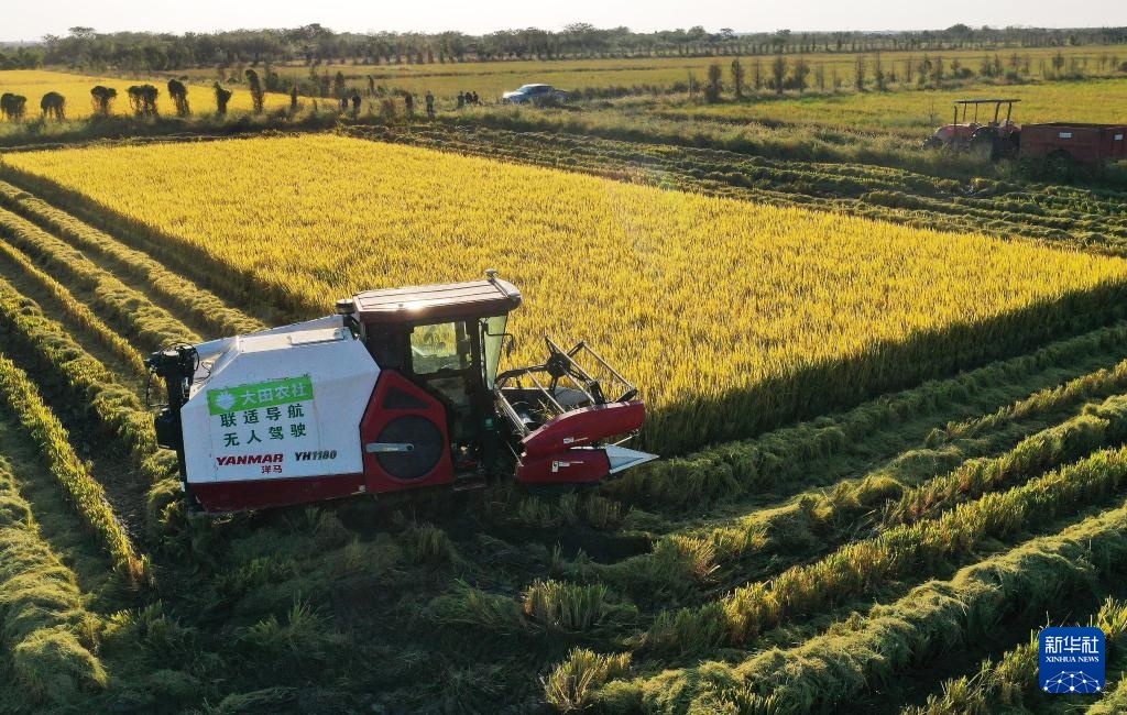 “北斗+5G”：这里的生产“静悄悄”