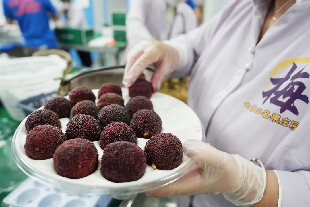 被深夜的杭州机场惊到！这批顶流水果太火了，国外卖到30元一颗！