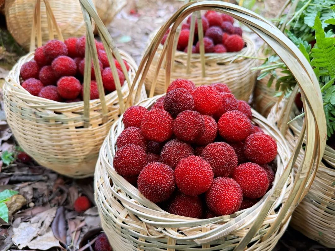 被深夜的杭州机场惊到！这批顶流水果太火了，国外卖到30元一颗！
