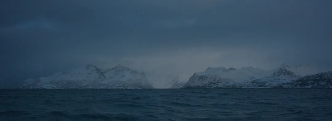 哈哈哈哈哈！火爆全网的“派大星”博士，找到了！