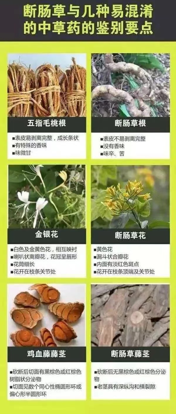 一家五口被“鸡汤”放倒，2人进了ICU！