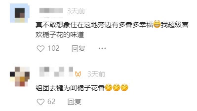 栀子花突然涨价10倍！有人“做梦都没想到”！外卖上已经火了