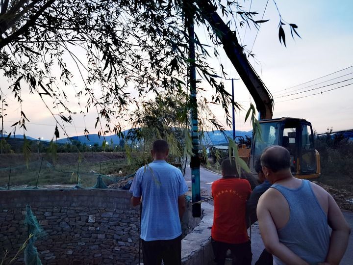 应急调水、开闸放水、打井抽水——山东多地全力抗旱保苗走访见闻