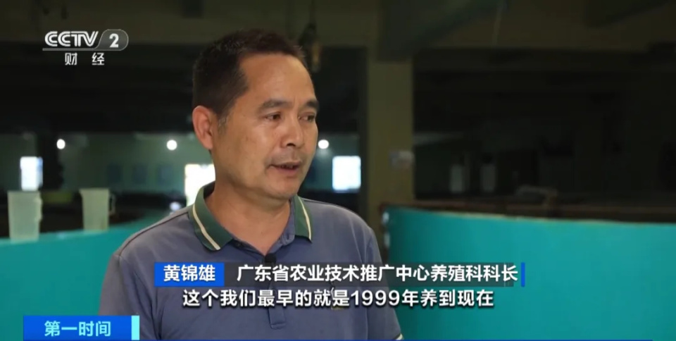 产量世界第一！你爱吃的它，便宜了