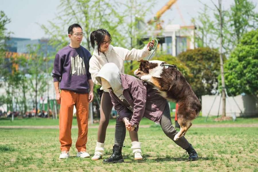当一群志愿者，把心爱的宠物狗训练成“治疗犬”