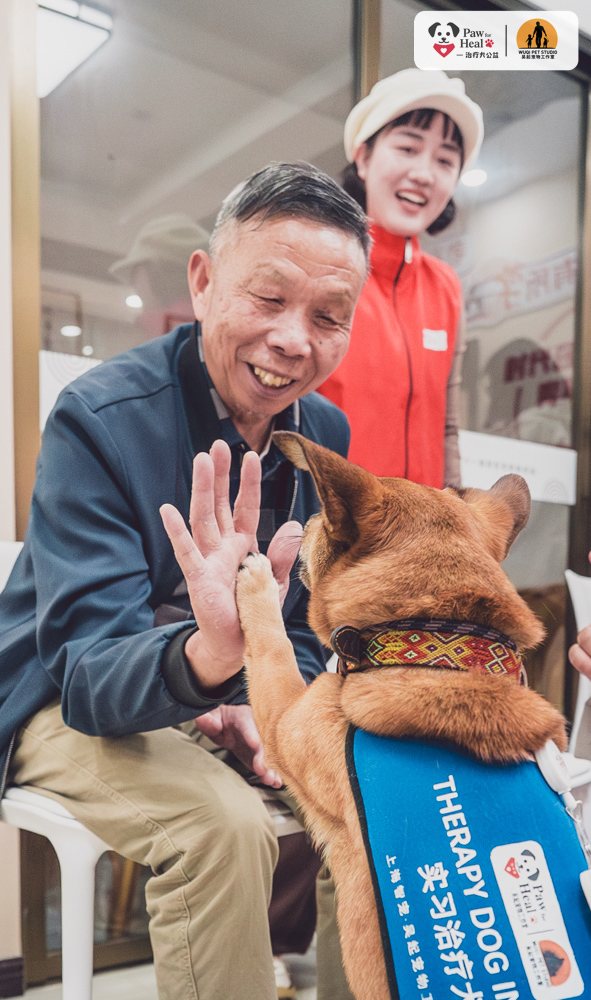 当一群志愿者，把心爱的宠物狗训练成“治疗犬”