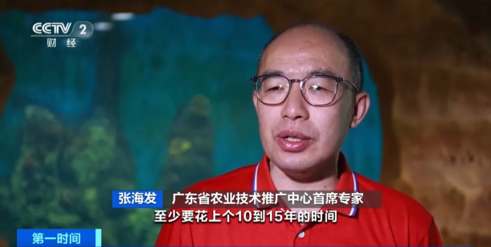 产量世界第一！你爱吃的它，便宜了