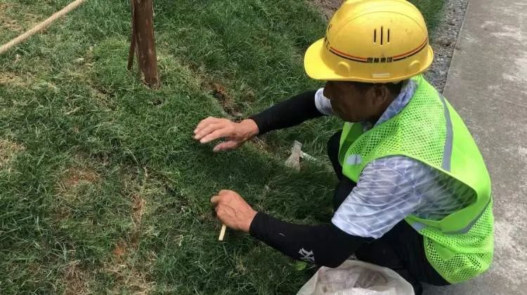 上海网红阶梯被躺“秃”了？最新通知：勿入内！努力“增发”中...