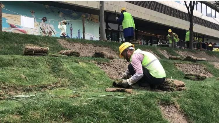 上海网红阶梯被躺“秃”了？最新通知：勿入内！努力“增发”中...