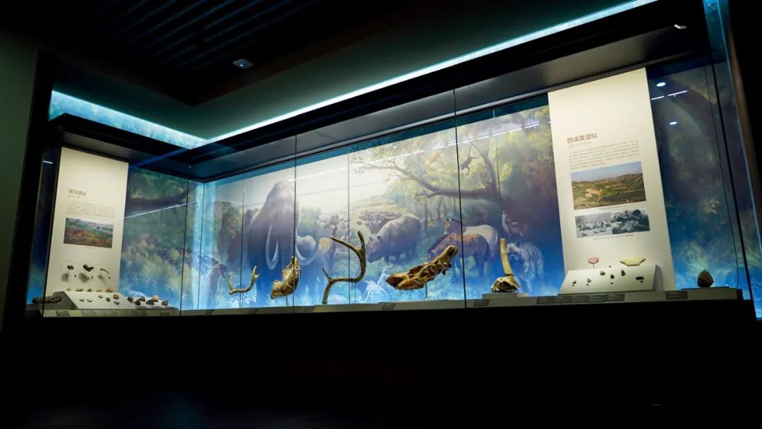 三千年前的文物，惊现愤怒小鸟？