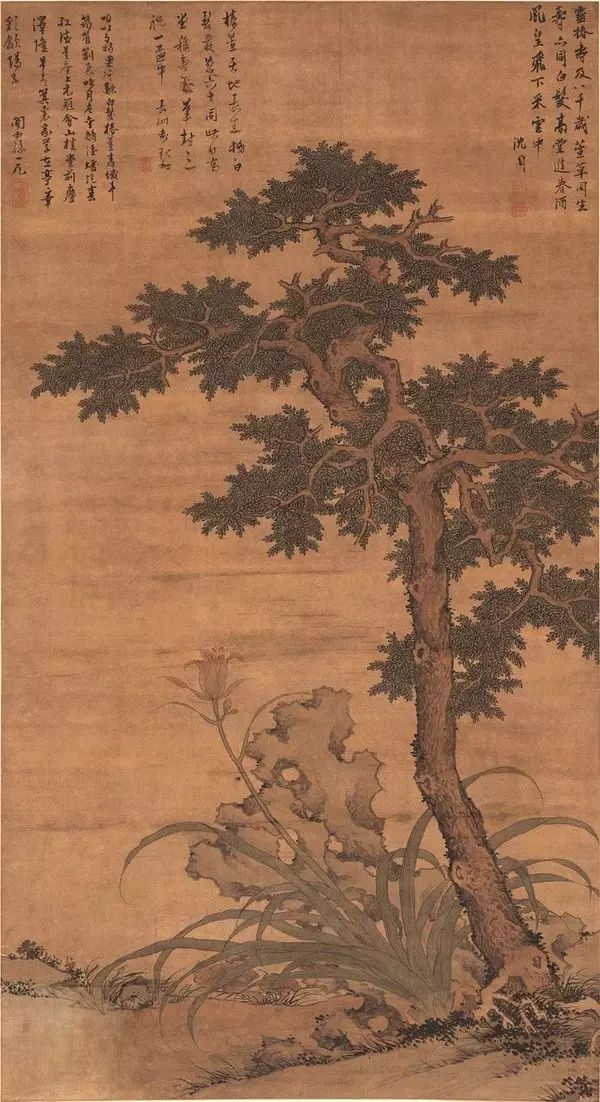 萱草指代母亲，哪种植物代表父亲呢？来全面了解它→
