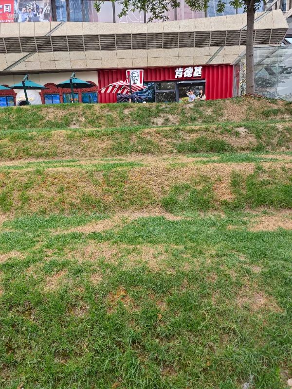 上海网红阶梯被躺“秃”了？最新通知：勿入内！努力“增发”中...