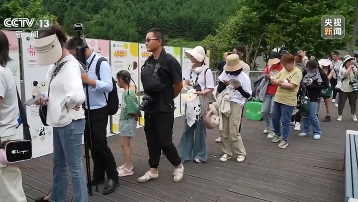 是幸福的“宝”！“福宝”收获的爱跨越国界