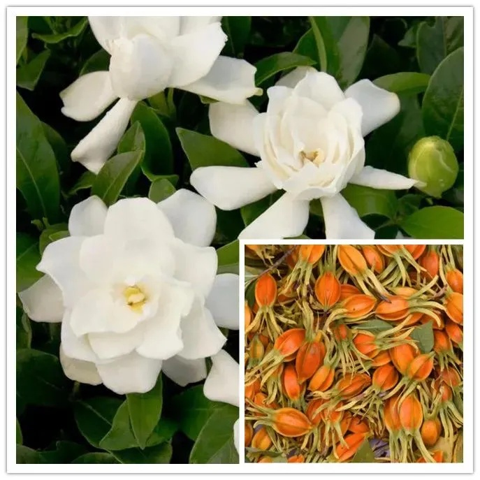 太突然,价格猛涨10倍!商家直呼“做梦都没想过!”但很多人都搞混了…… 太突然,价格猛涨10倍!商家直呼“做梦都没想过!”但很多人都搞混了……