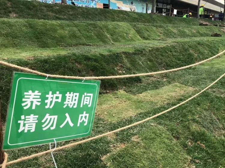 上海网红阶梯被躺“秃”了？最新通知：勿入内！努力“增发”中...