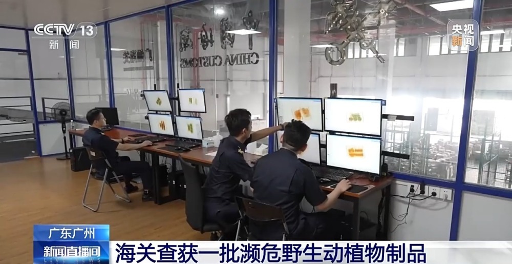 海关接连查获!奶粉罐、饰品竟成象牙制品等的藏匿工具 海关接连查获!奶粉罐、饰品竟成象牙制品等的藏匿工具