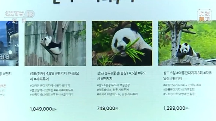 是幸福的“宝”！“福宝”收获的爱跨越国界