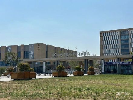 村民称姜萍从小学四年级显现数学天赋