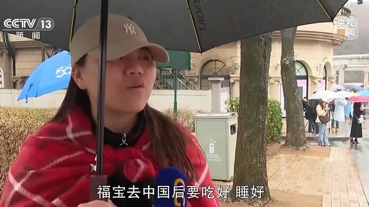 是幸福的“宝”！“福宝”收获的爱跨越国界