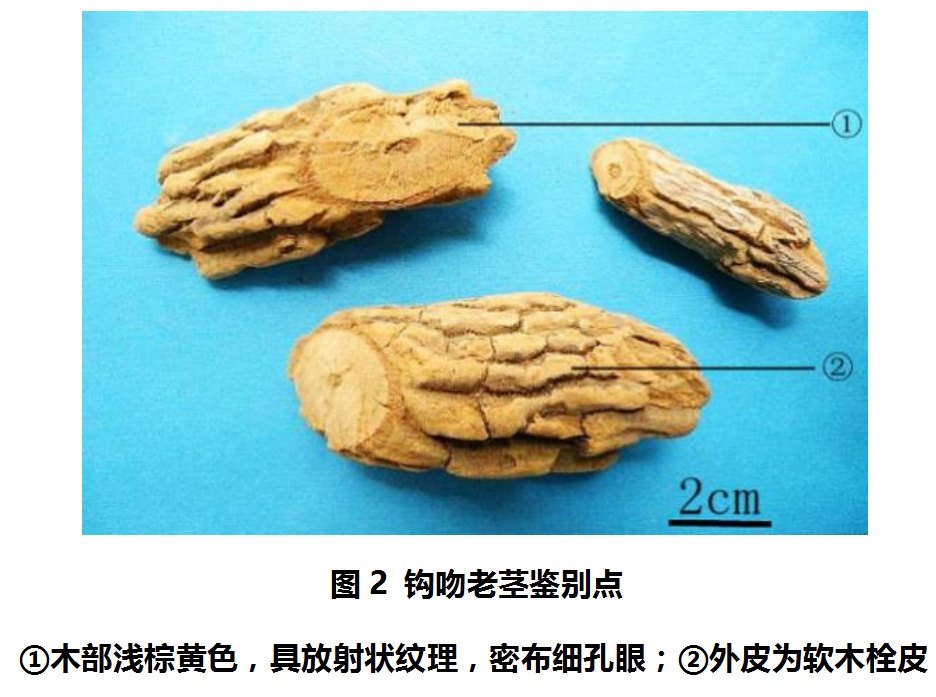 一家五口全中招,2人进ICU!爱做这件事的福州人注意:此物剧毒! 一家五口全中招,2人进ICU!爱做这件事的福州人注意:此物剧毒!